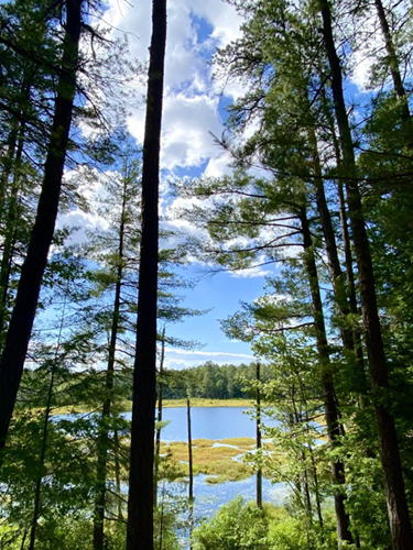 bear brook campsite