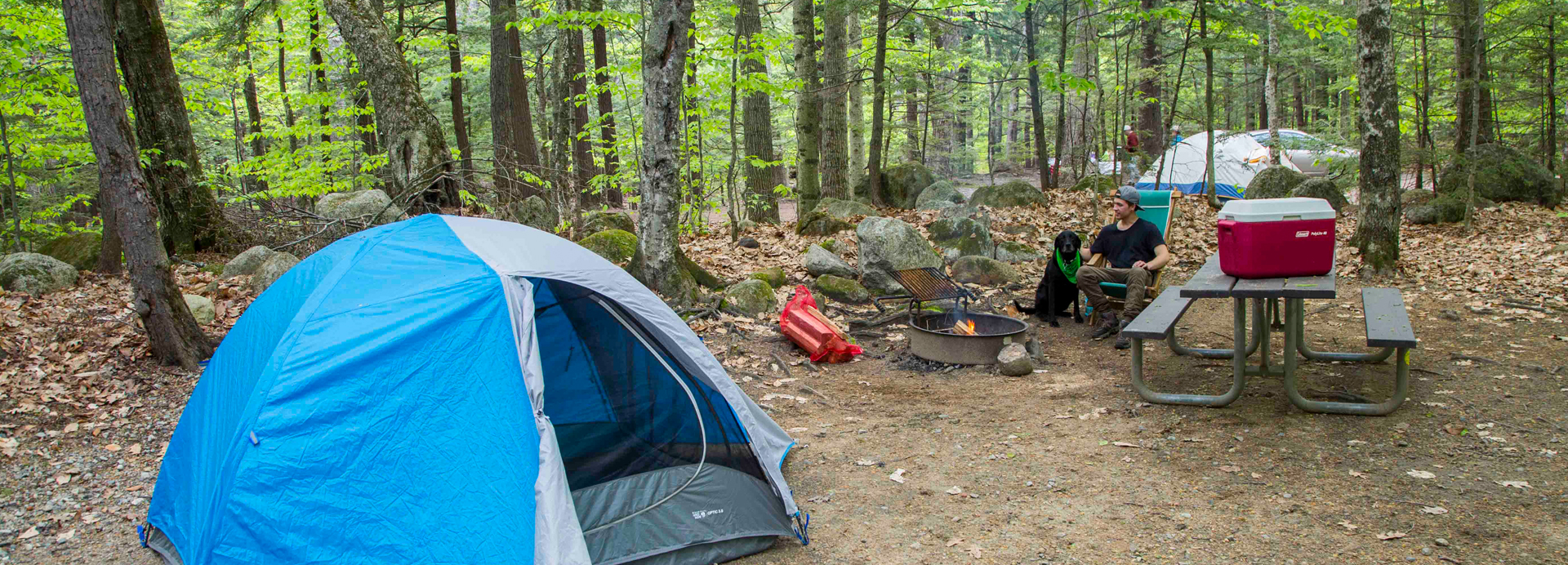 tent  at dry river campground