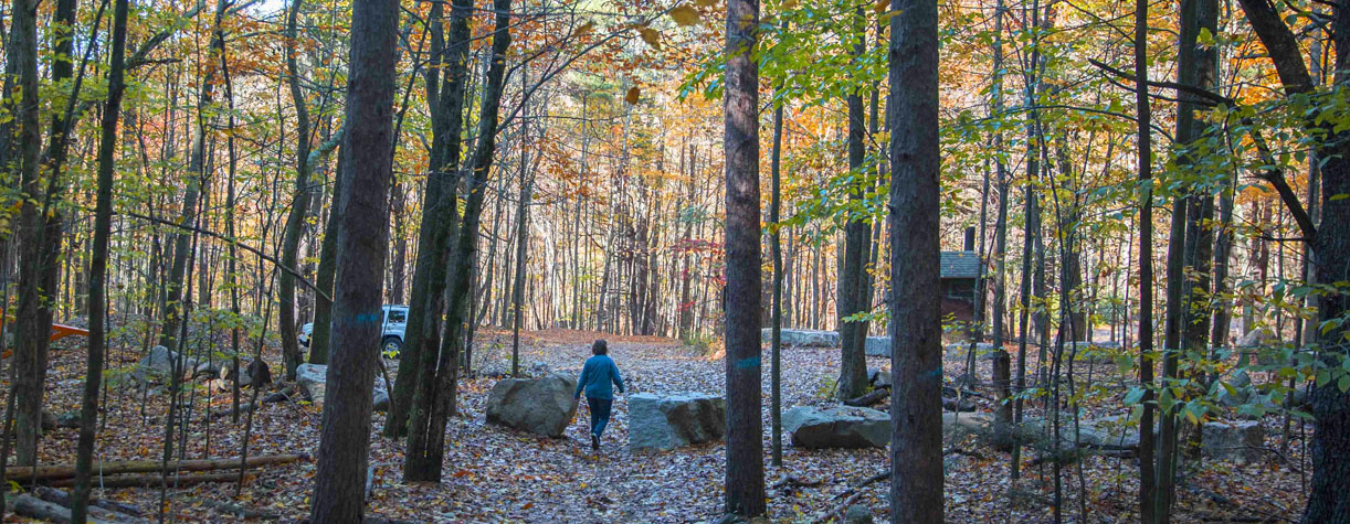 pawtuckaway campsite in fall