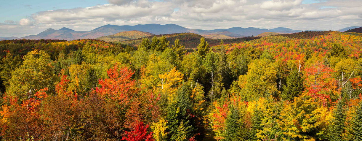 great north woods peak foliage