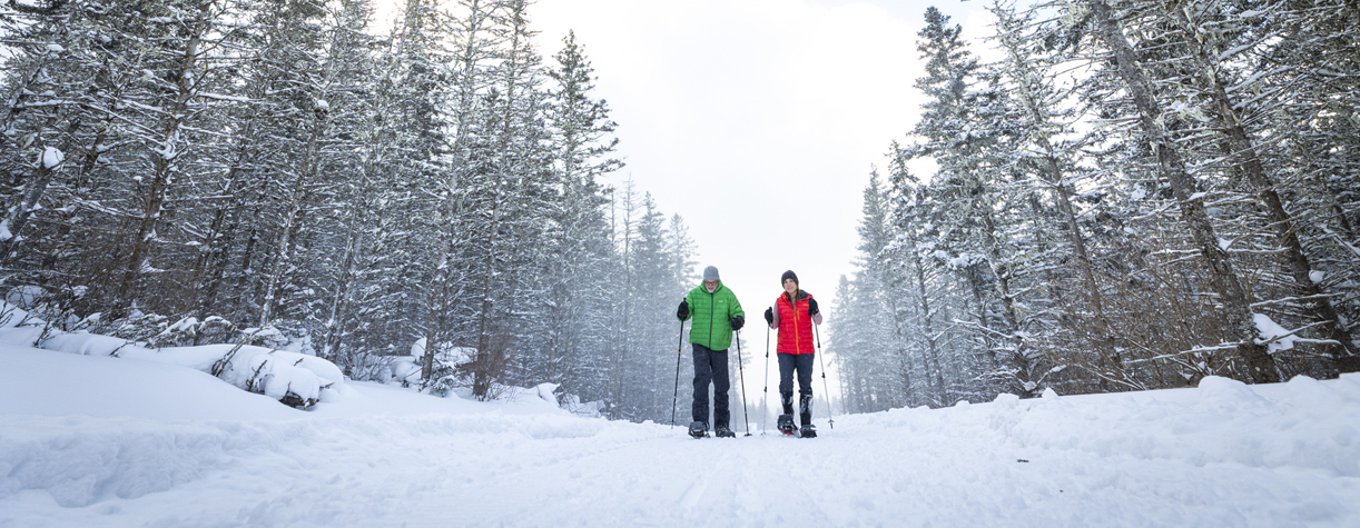 couple snowshoeing at coleman state park in snowstorm