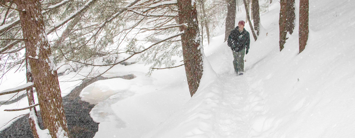 snowmobiling at bear brook