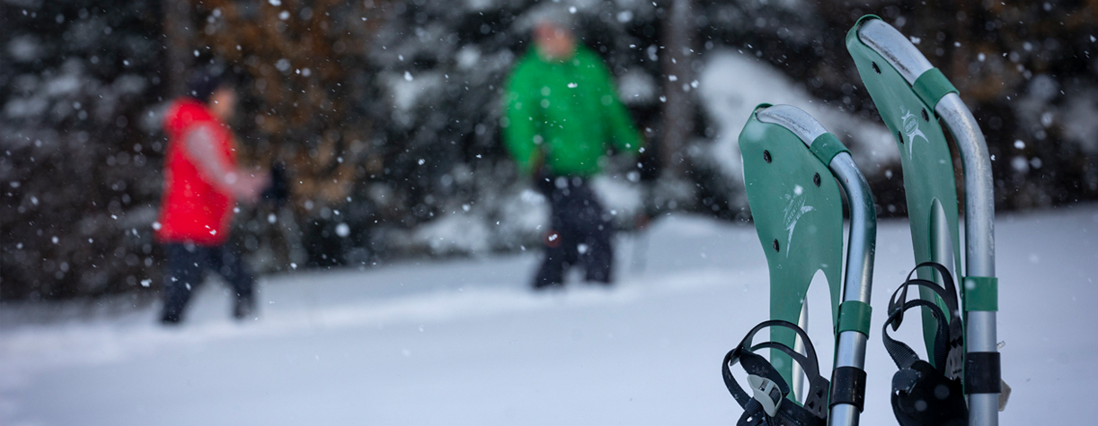 snowshoes in the snow with couple in the background