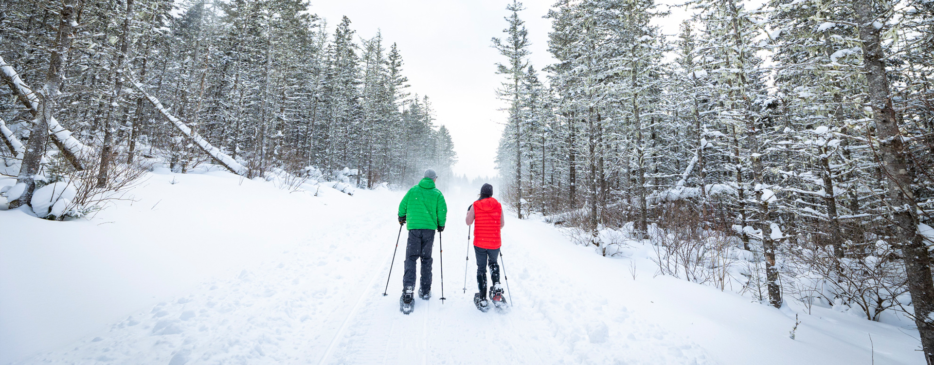 man and woman snowshoeing at coleman state park