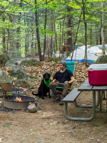 campsite at dry river campground