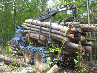 Logs on a trailer