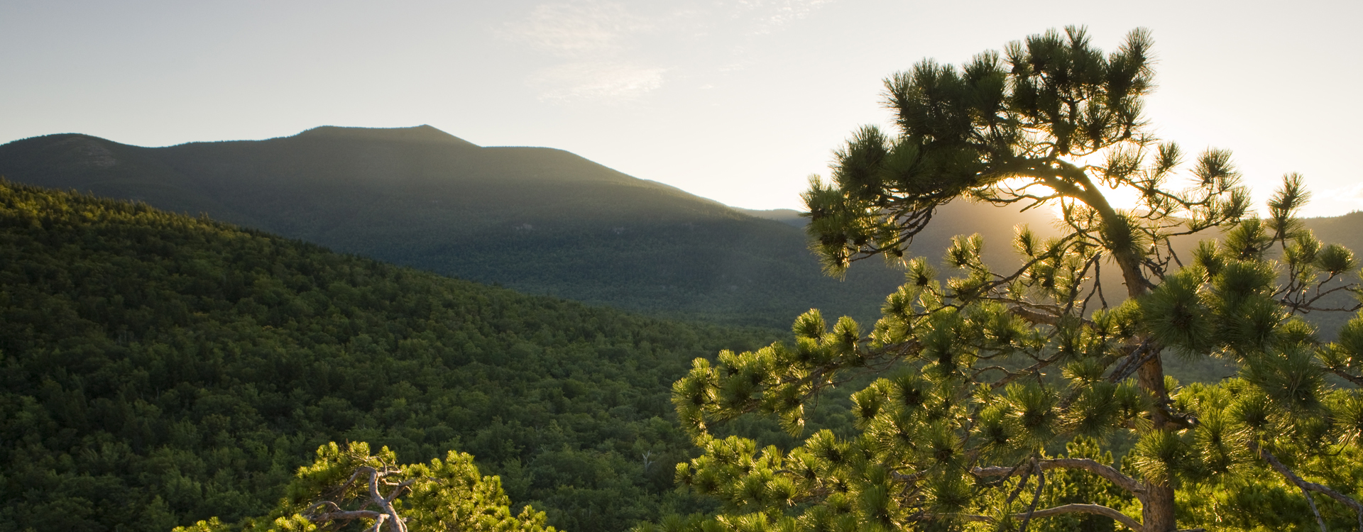 view from the top of cathedral ledge at sunset