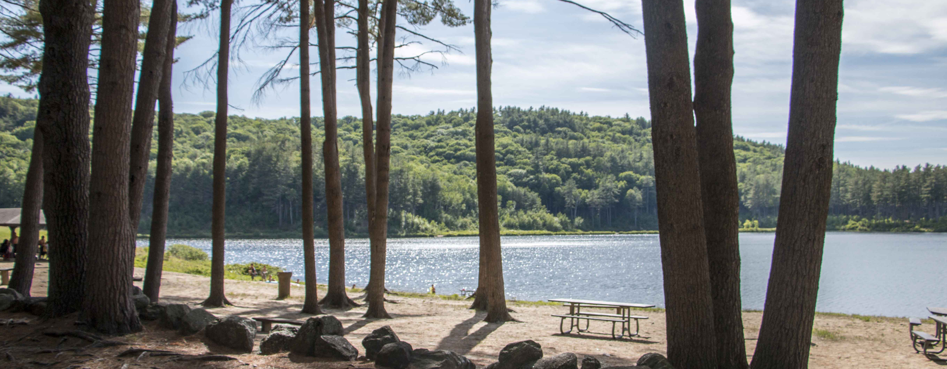 picnicking among the pines at clough state park beach