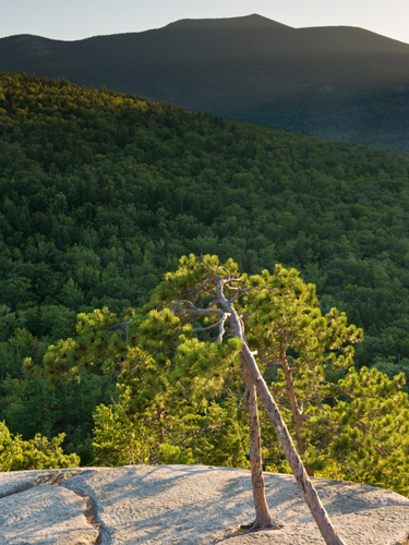 view from the top of cathedral ledge at sunset