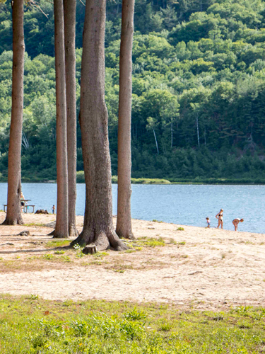 picnicking among the pines at clough state park beach