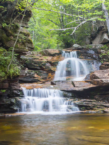 waterfalls at crawford notch