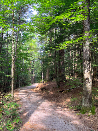 northwood meadows state park trail with children