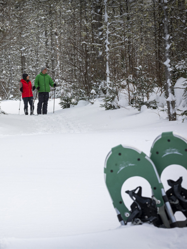 couple snowshoeing at coleman state park