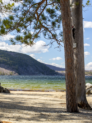 early spring at wellington state park