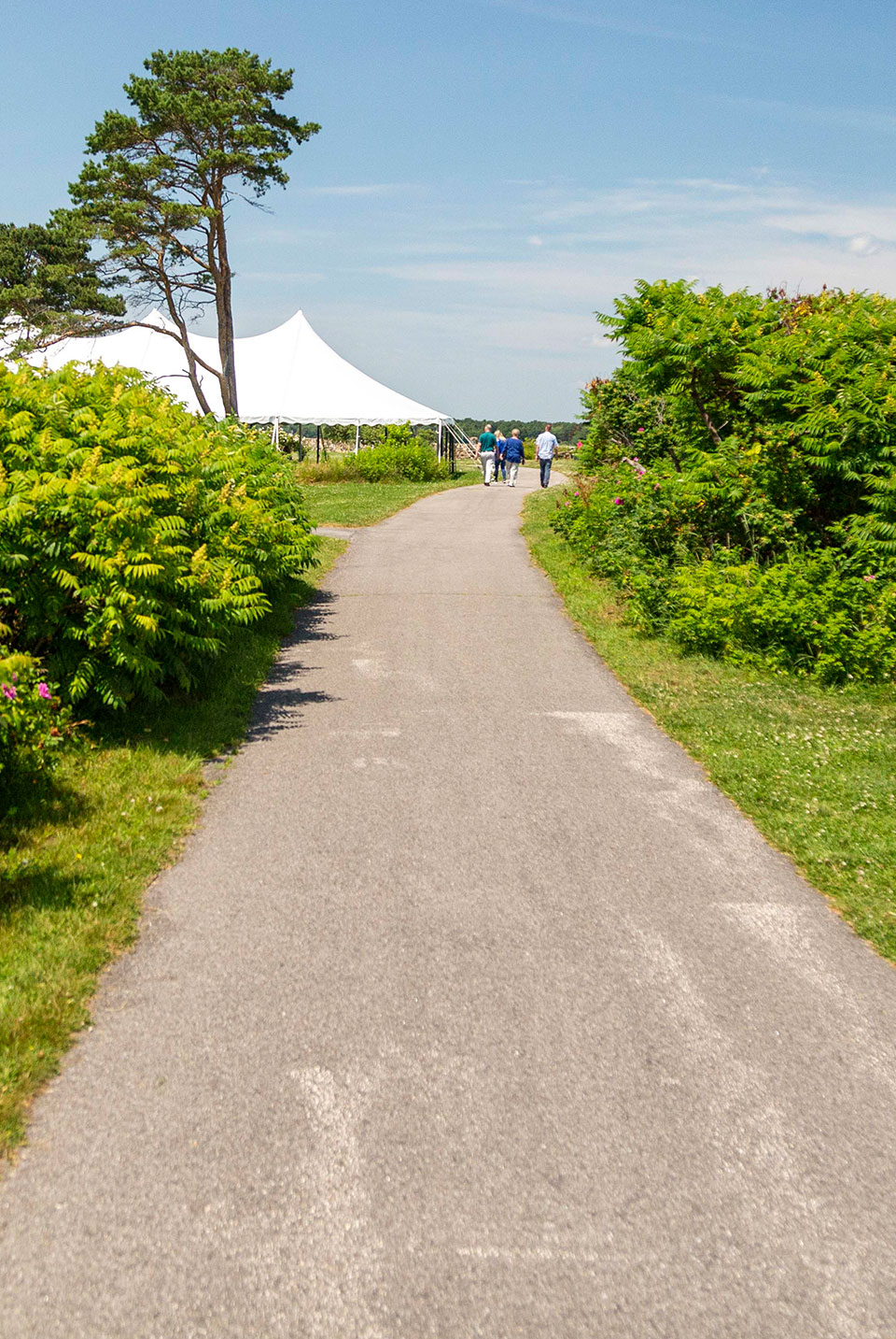 trail and scenery