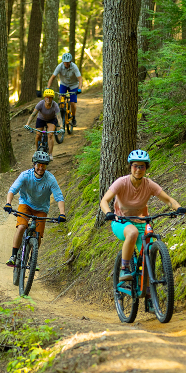 mountain bikers on the trail at bear brook state park