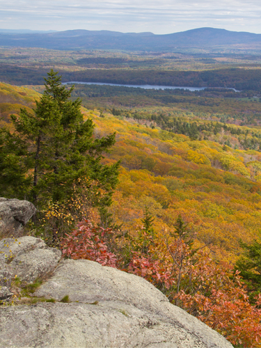 fall foliage view from monadnock summit