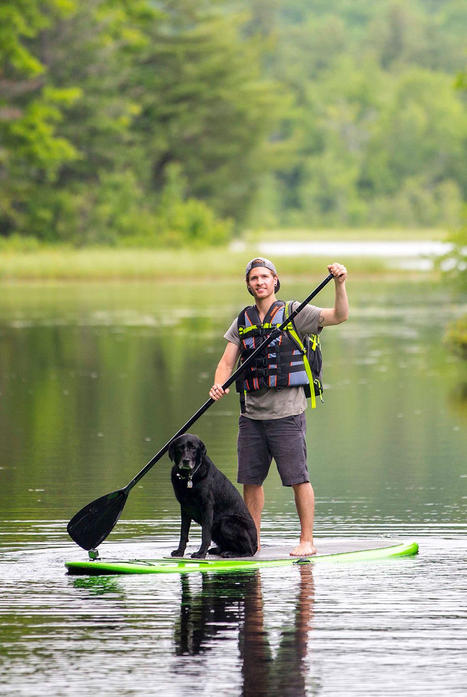 Happy dog at a NH State Park