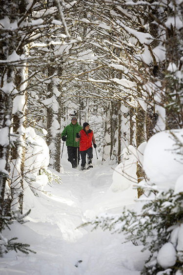 couple snowshoeing at coleman state park in deep snow