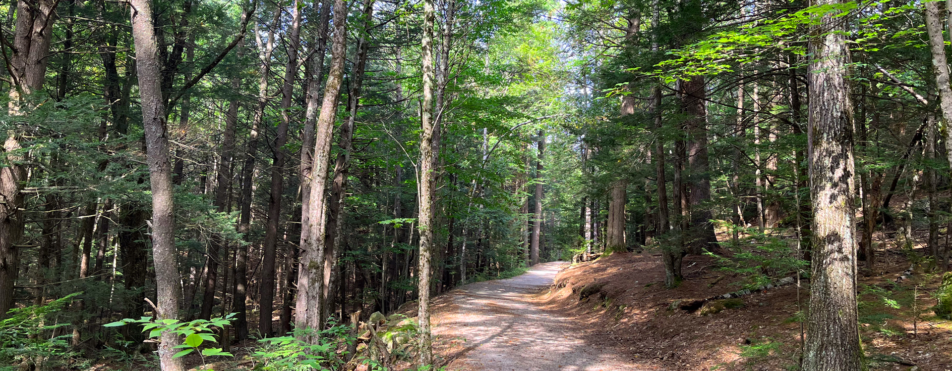 northwood meadows state park trail with children