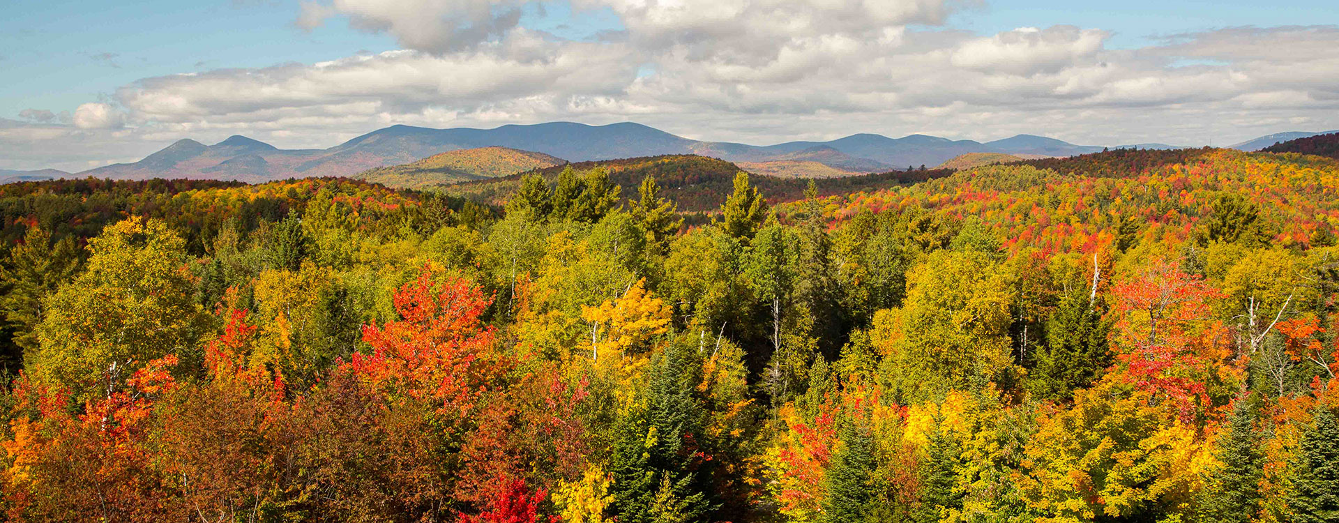 Milan Hill State Park: Where Nature’s Beauty Meets Tranquility