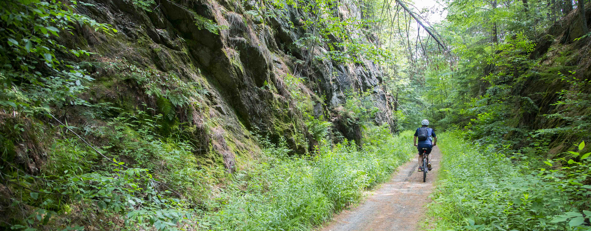 man riding a bike ton the cheshire rail trail