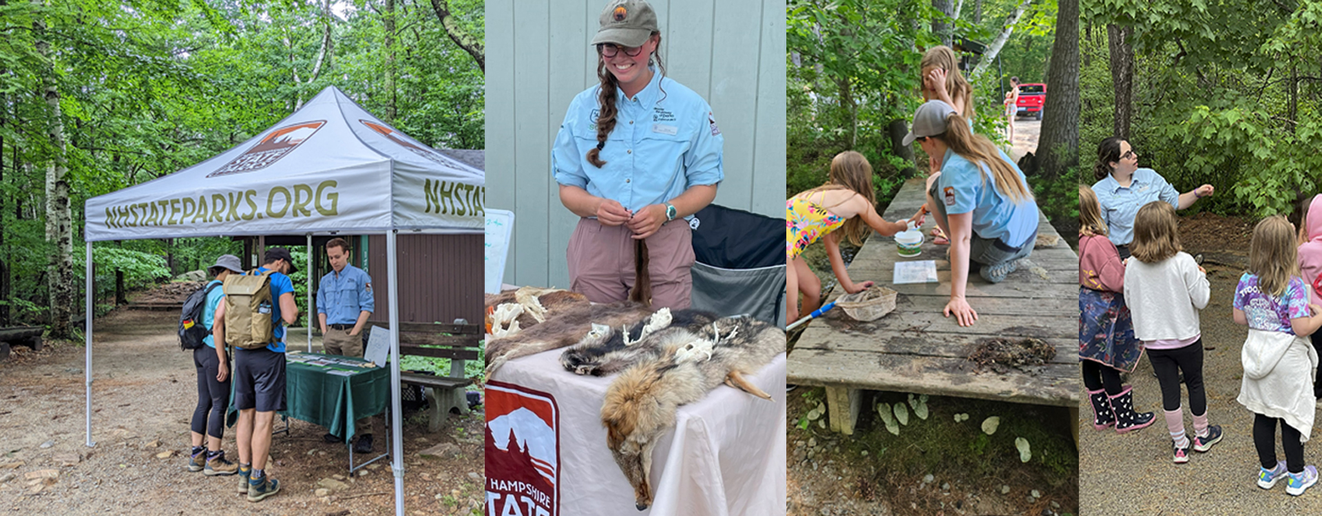 collage of sca rangers in the field in 2025