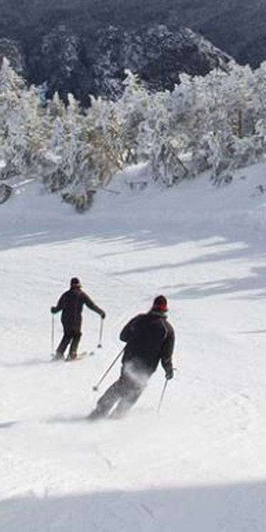downhill skiing at cannon