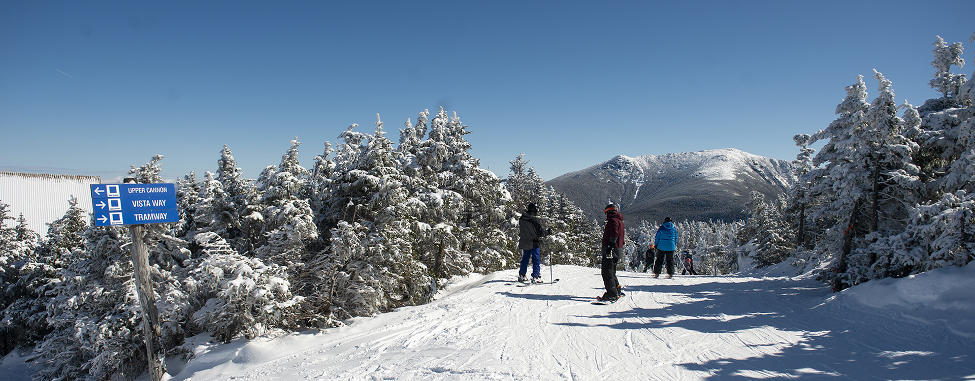 skiers on intermediate trail at cannon mountain