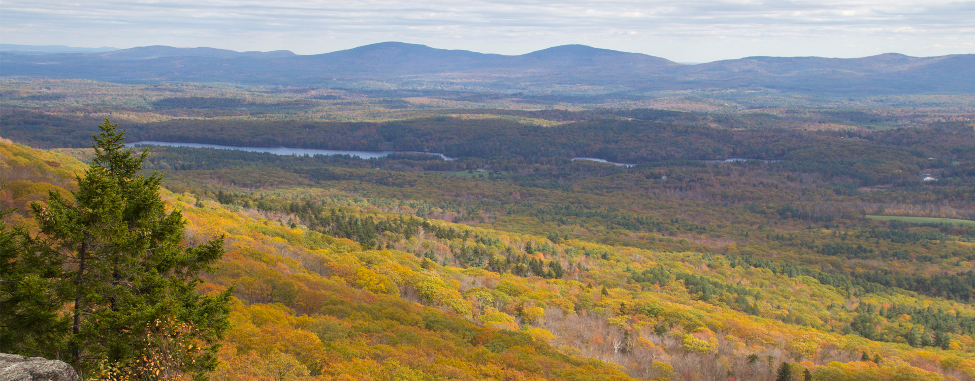 fall foliage view from monadnock summit