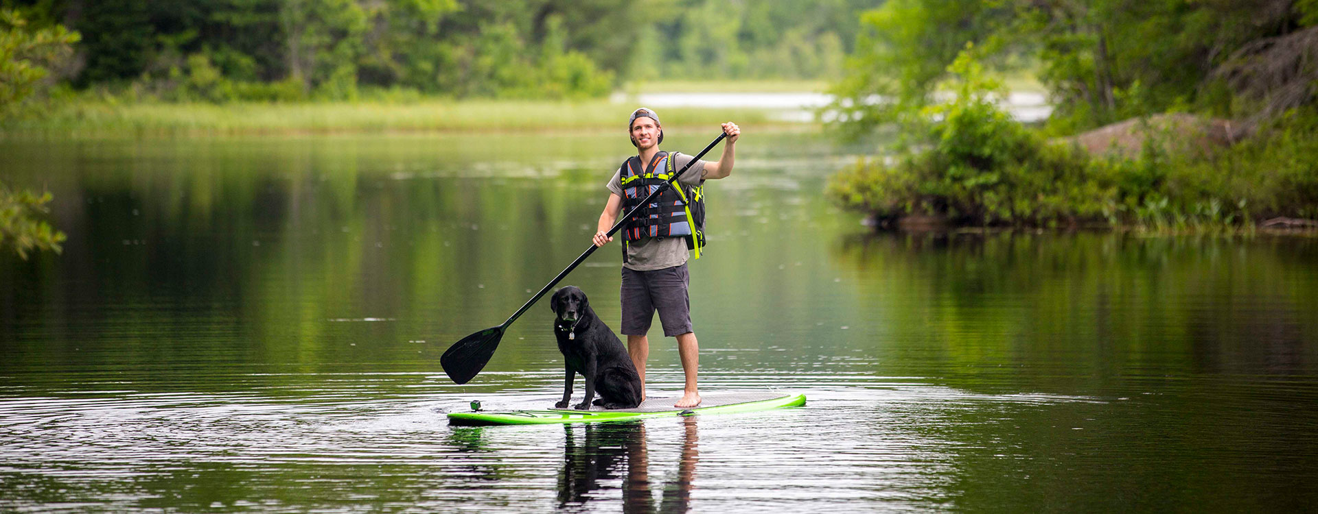 Happy dog at a NH State Park