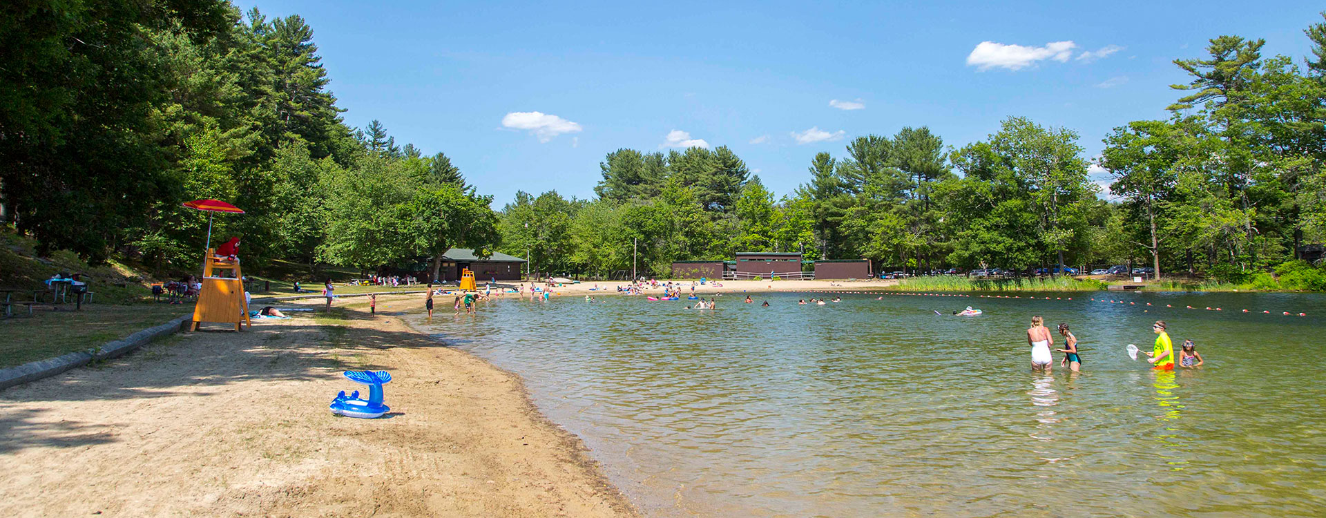 People swimming in a lake