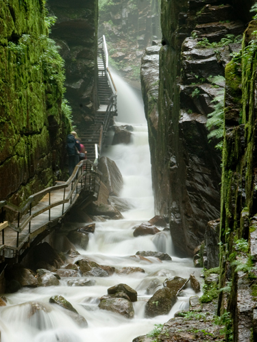 People on Flume Gorge Walkway and Stairs