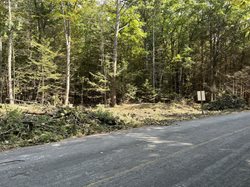 tree and stump removal at pawtuckaway campground