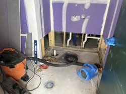 bathhouse_pawtuckaway_shower_plumbing.JPG
