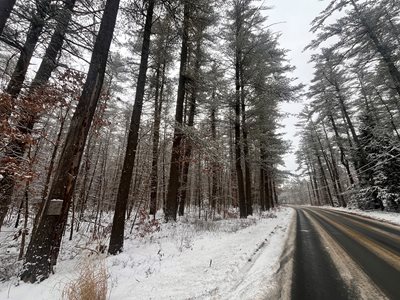road through bear brook state park before logging