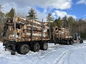 northwood_meadows_logging_truck.JPG