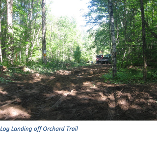 orchard-trail.png