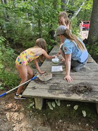 sca ranger pond life education with kids