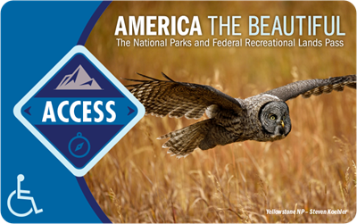 2023-Access-Pass_front_2-(1).png