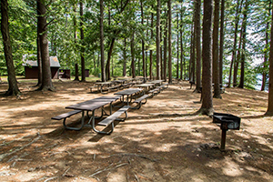 kingston_picnic_tables-(1).jpg