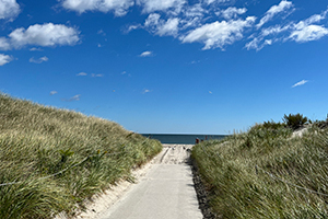 hampton_south_beach_walkway.jpg