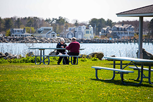 rye_harbor2.jpg