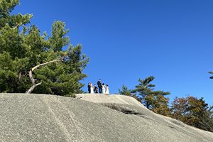 wedding_cathedral_ledge-cropped.jpg