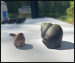 mystery_snail.jpg