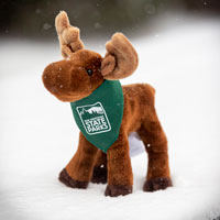 Moose stuffed animal