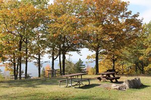 Picnic tables in park