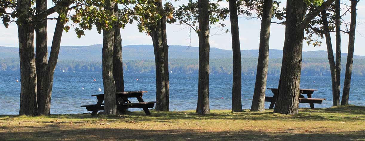 Park with trees and lake