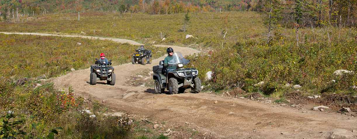 ATV's on trail