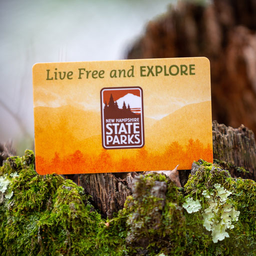 Gift card to parks
